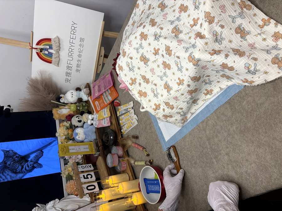 东莞宠物殡葬告别厅实景