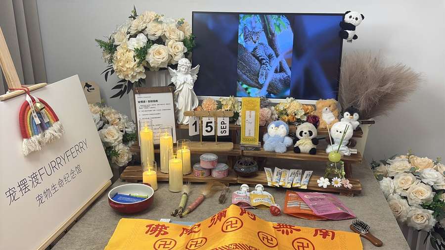 东莞宠物单独火化